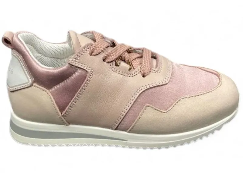 Buscemi Ventura Rosa Pink | 318SKRUVRB46KY-2121