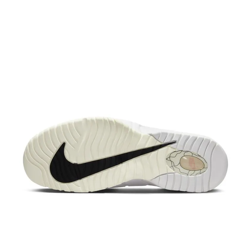 Nike Air Max Penny Photon Dust/Summit White/Coconut Milk/Zwart (DX5801-001)