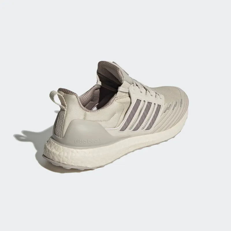 adidas ULTRABOOST DNA GUARD Bliss / Silver Metallic / Bliss (GX8980)