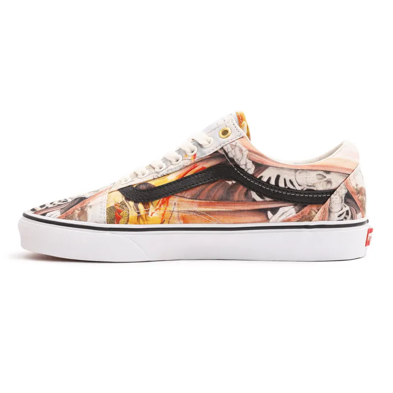 VANS Otw Gallery N. Kostechko Old Skool Multicolour (VN0A38G19FX)