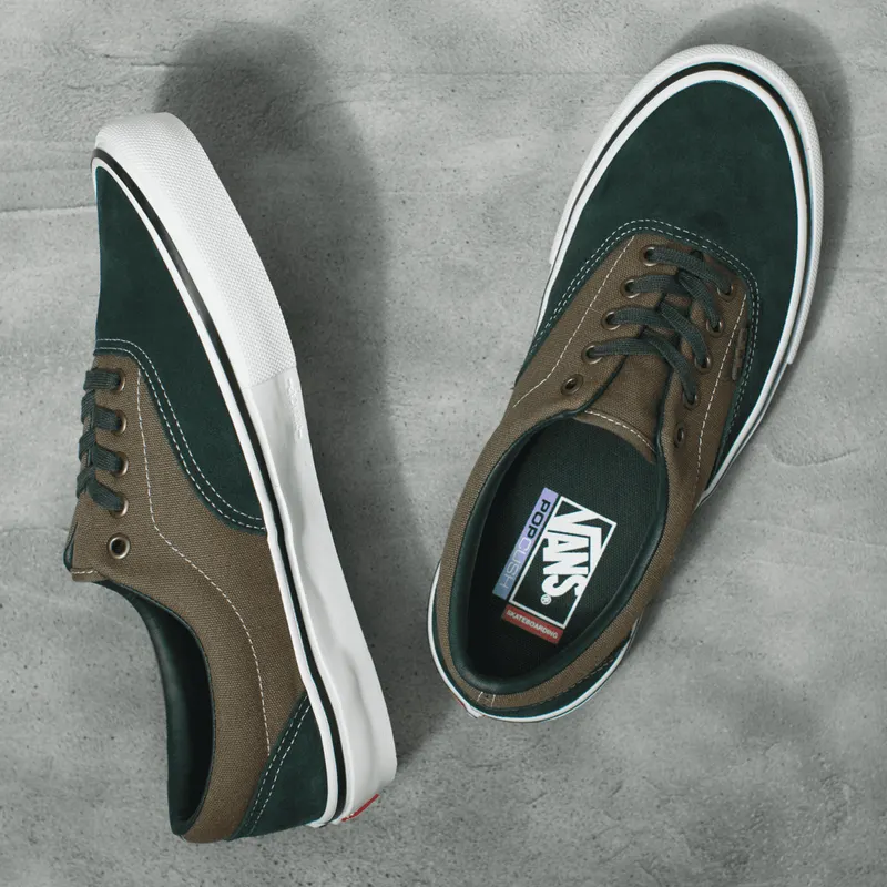 VANS Skate Era Groen (VN0A5FC99CR)