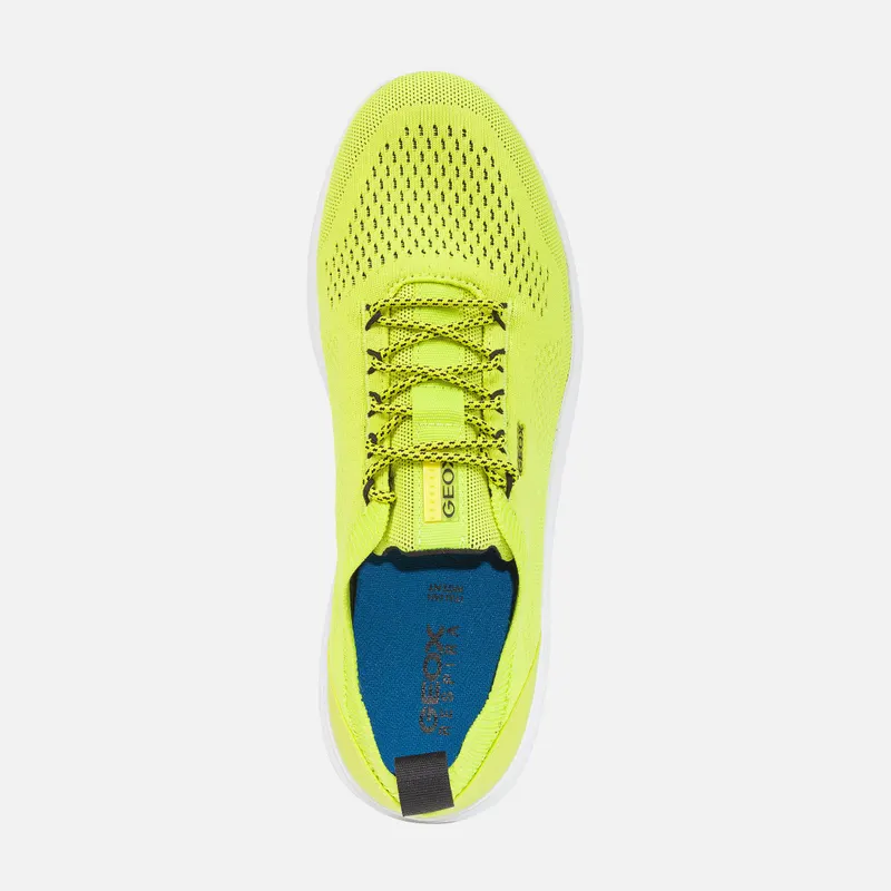 Geox Spherica Man yellow/black (U15BYA0006KC3N9B)
