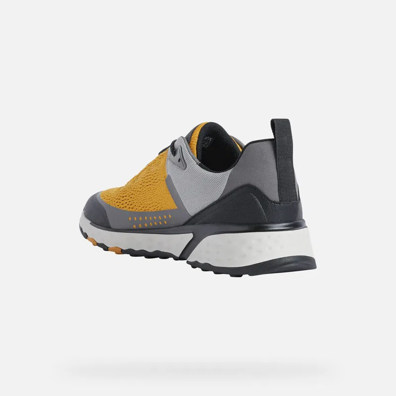 Geox Sterrato Man ochre/light grey (U25ECB014V2C4125)