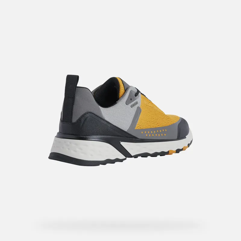 Geox Sterrato Man ochre/light grey (U25ECB014V2C4125)
