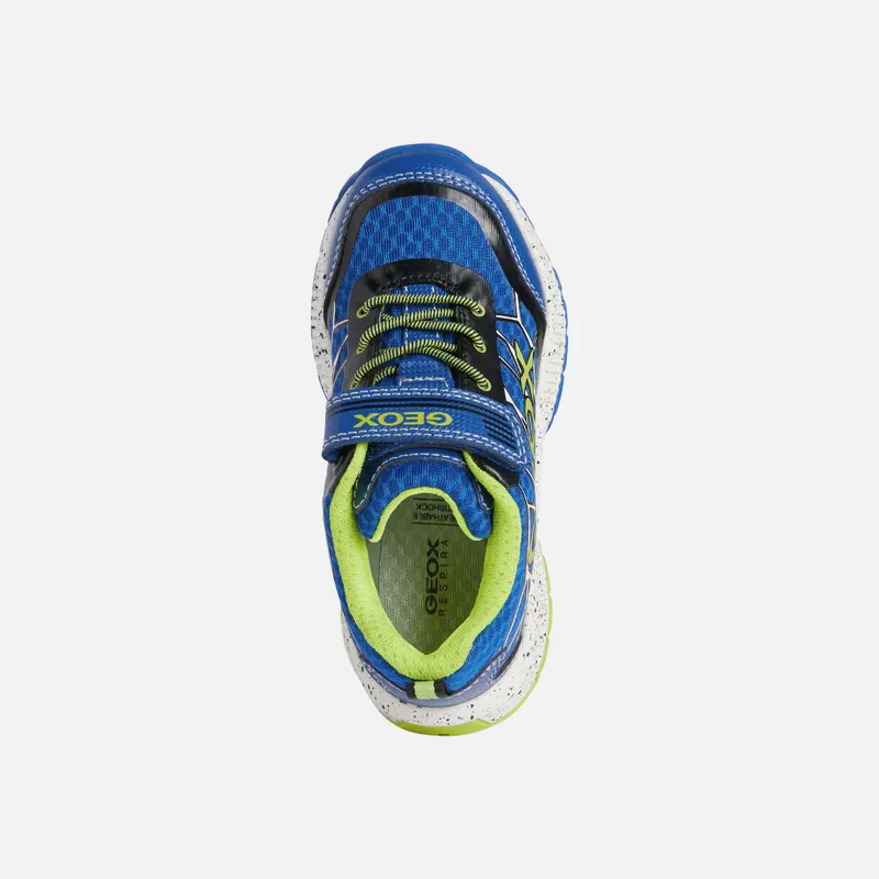 Geox Tuono Boy royal/lime (J15AXB014CEC4344)
