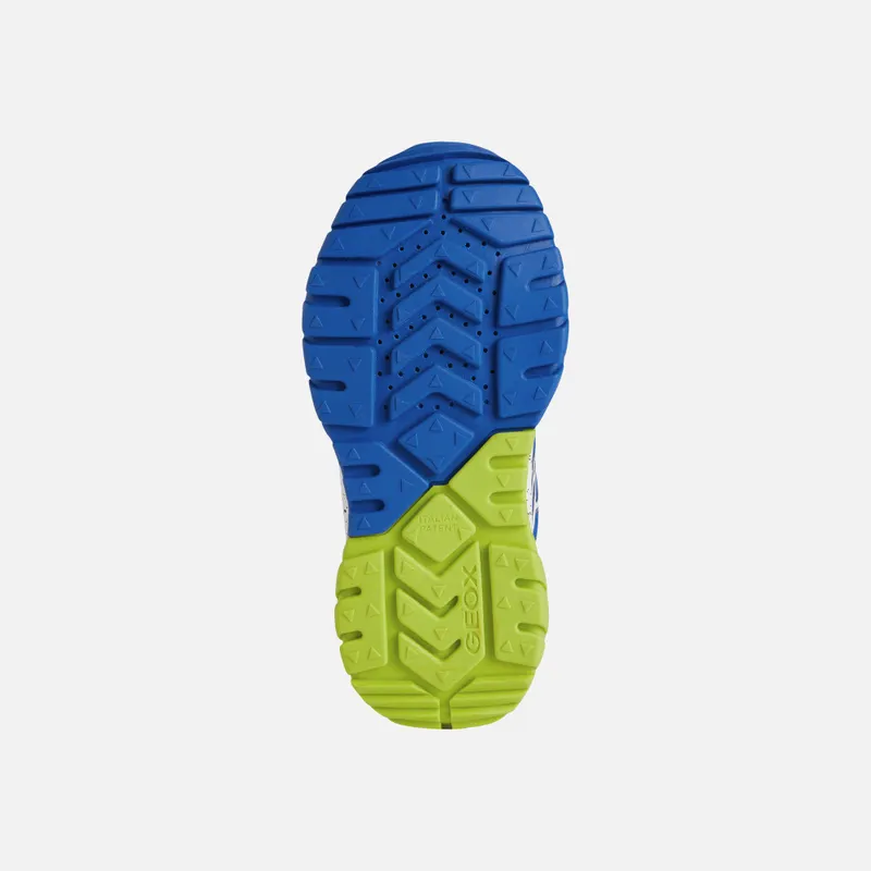Geox Tuono Boy royal/lime (J15AXB014CEC4344)