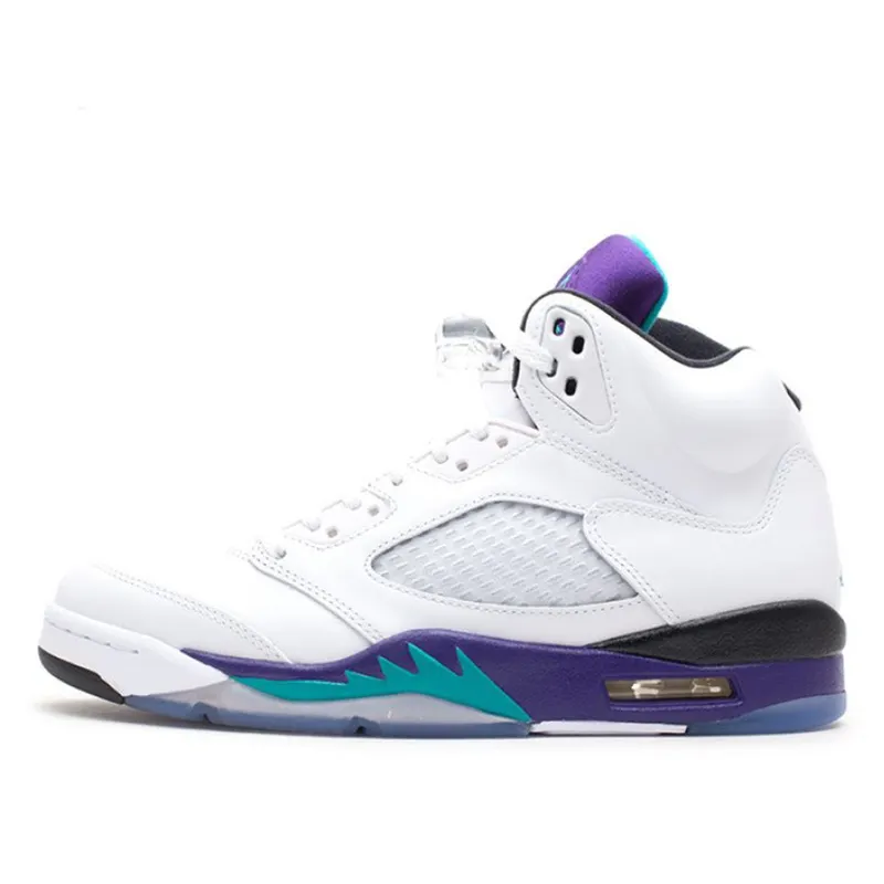 Air Jordan 5 Retro Grape (136027-108)