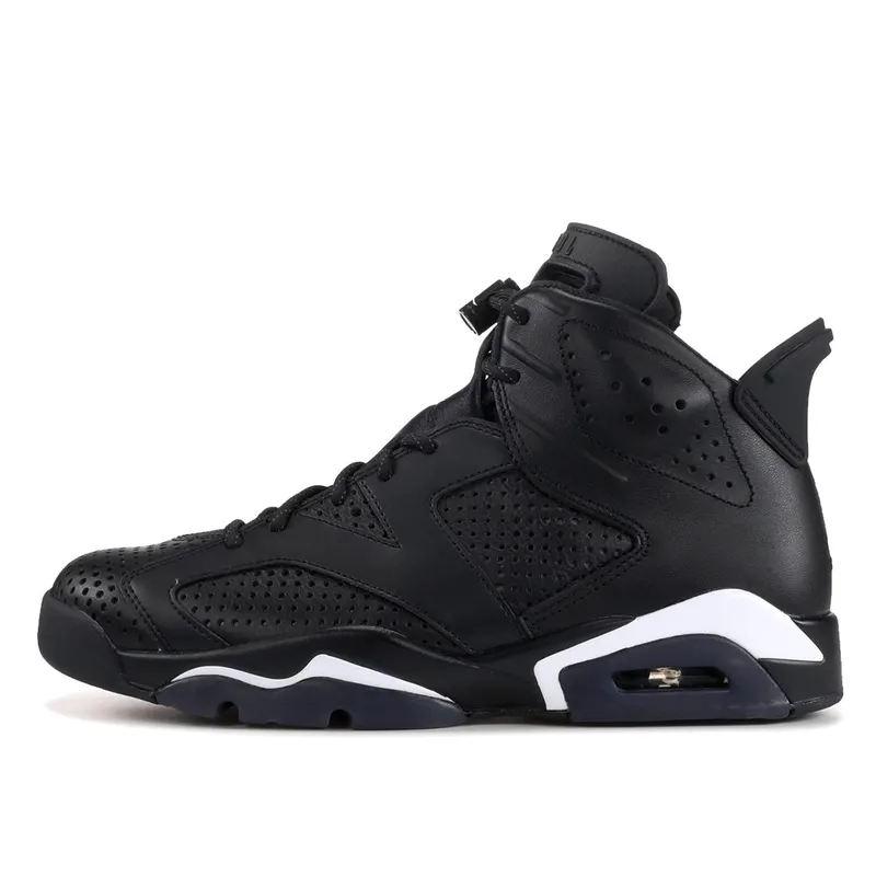 Air Jordan 6 Retro Black Cat (384664-020)