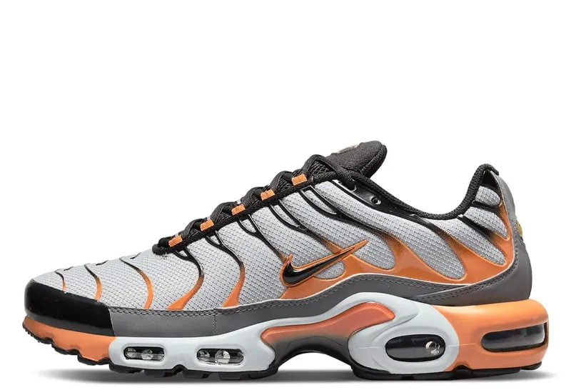 Nike TN Air Max Plus Grey Hot Curry (DM0032-001)