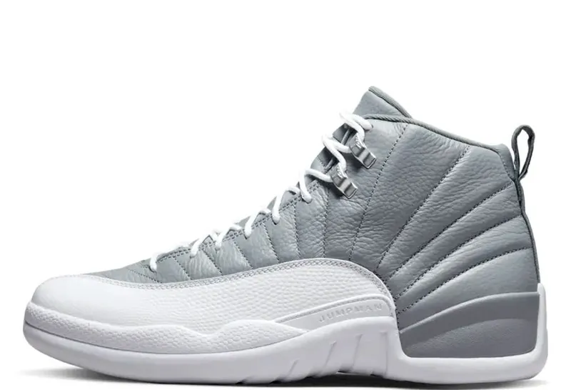 Air Jordan 12 Stealth (CT8013-015)