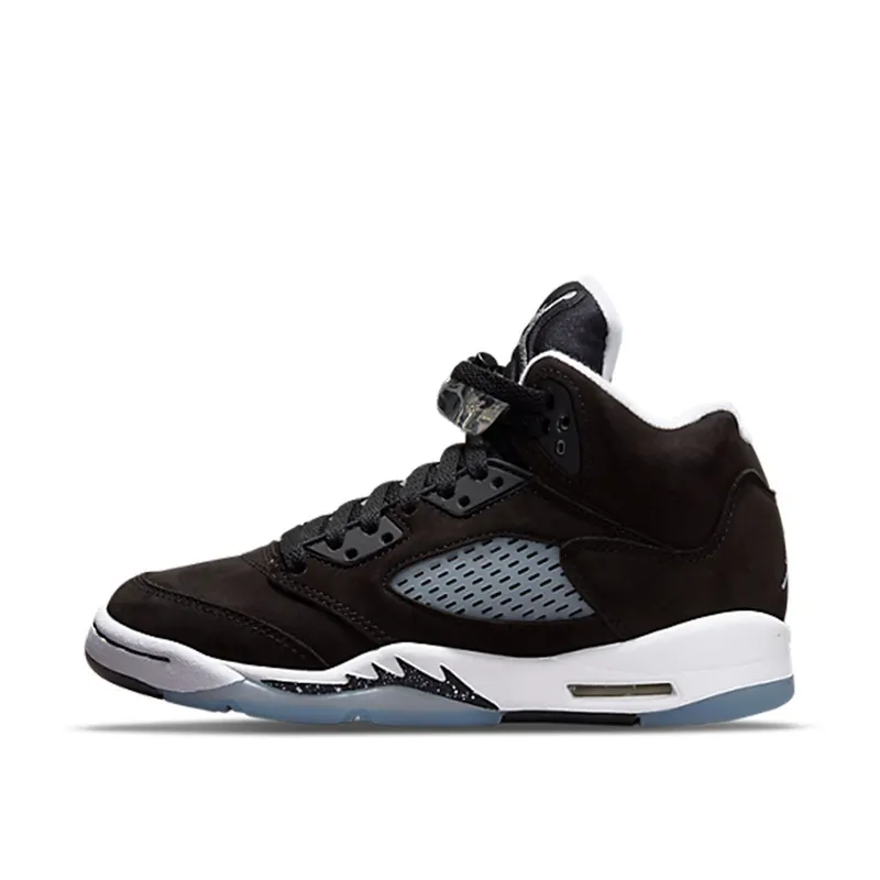 Air Jordan 5 Retro Moonlight (GS) (440888-011)