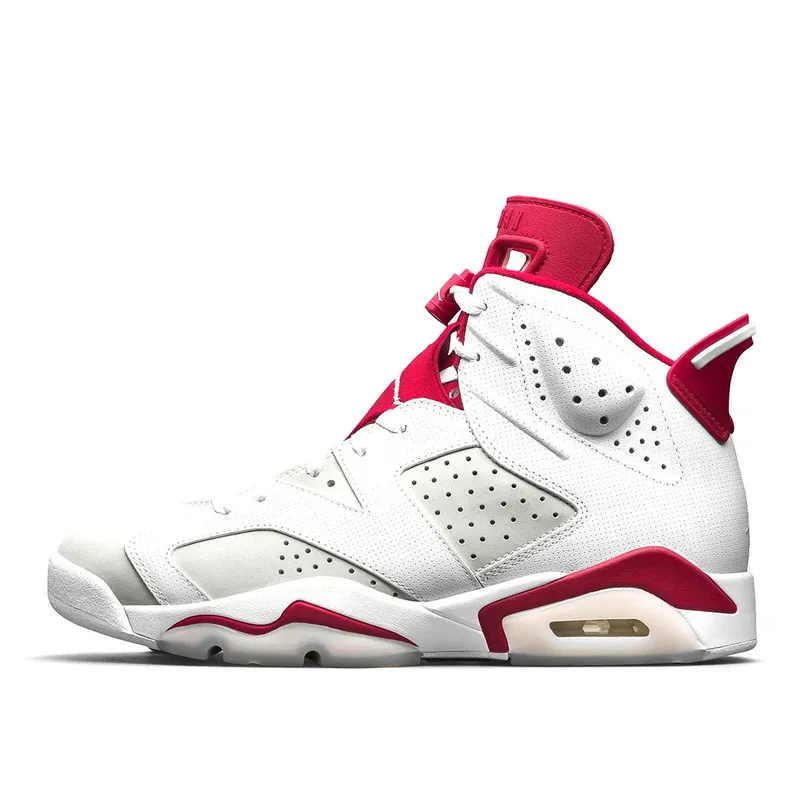 Air Jordan 6 Retro Alternate Hare (384664-113)