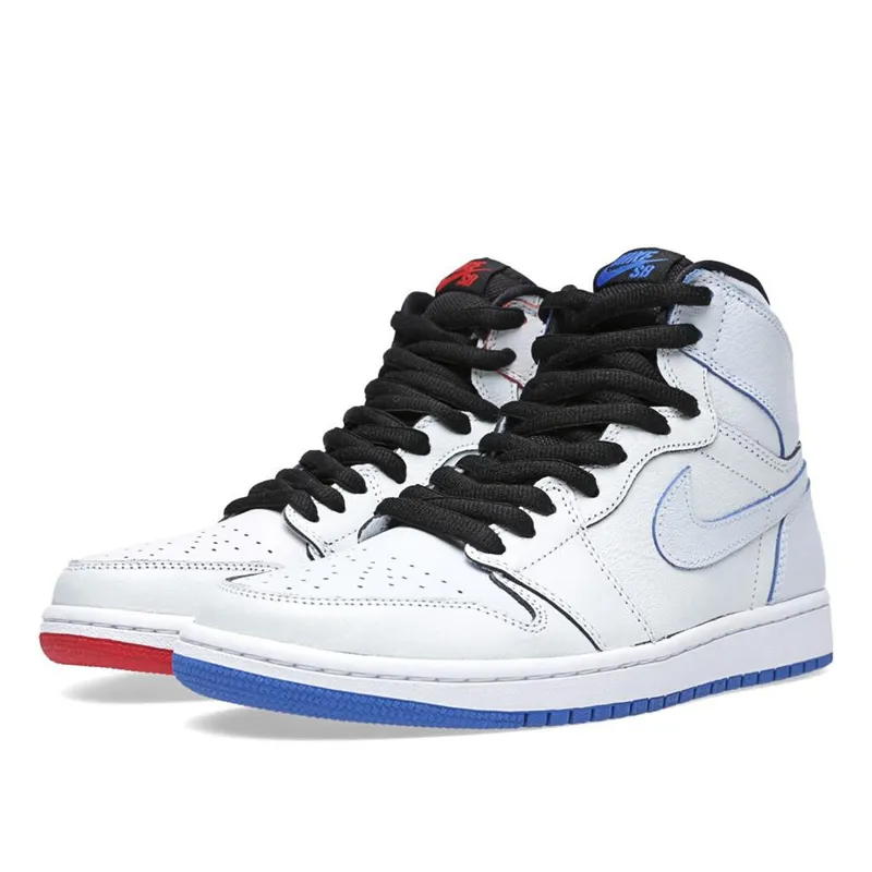 Air Jordan 1 SB Lance Mountain White (653532-100)