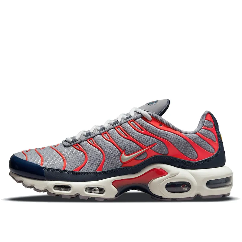 Nike Air Max Plus USA Grey (DB0682-003)
