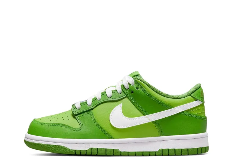 Nike Dunk Low GS Chlorophyll Vivid Green (DH9765-301)