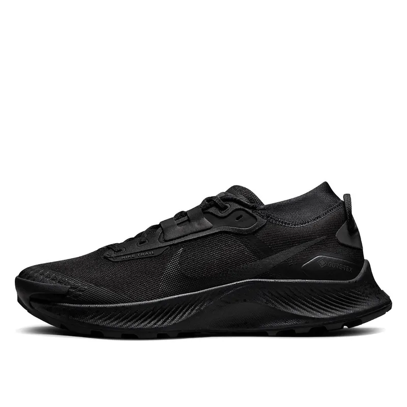 Nike Pegasus Trail 3 Gore-Tex Black Dark Smoke Grey (DC8793-001)