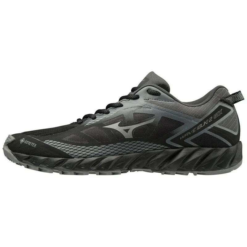 Mizuno Wave Ibuki 2 Gtx (J1GJ195934)