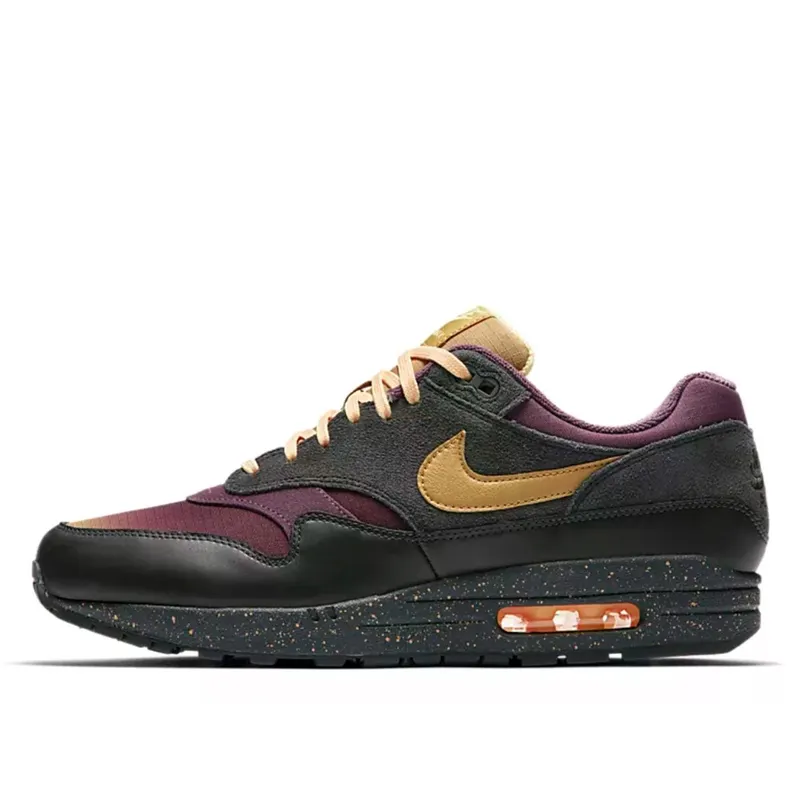 Nike Air Max 1 Gradient Toe Pro Purple (875844-002)