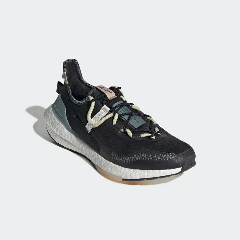 adidas Ultraboost 21 x Parley Carbon / Orbit Grey / Sandy Beige (GX1244)