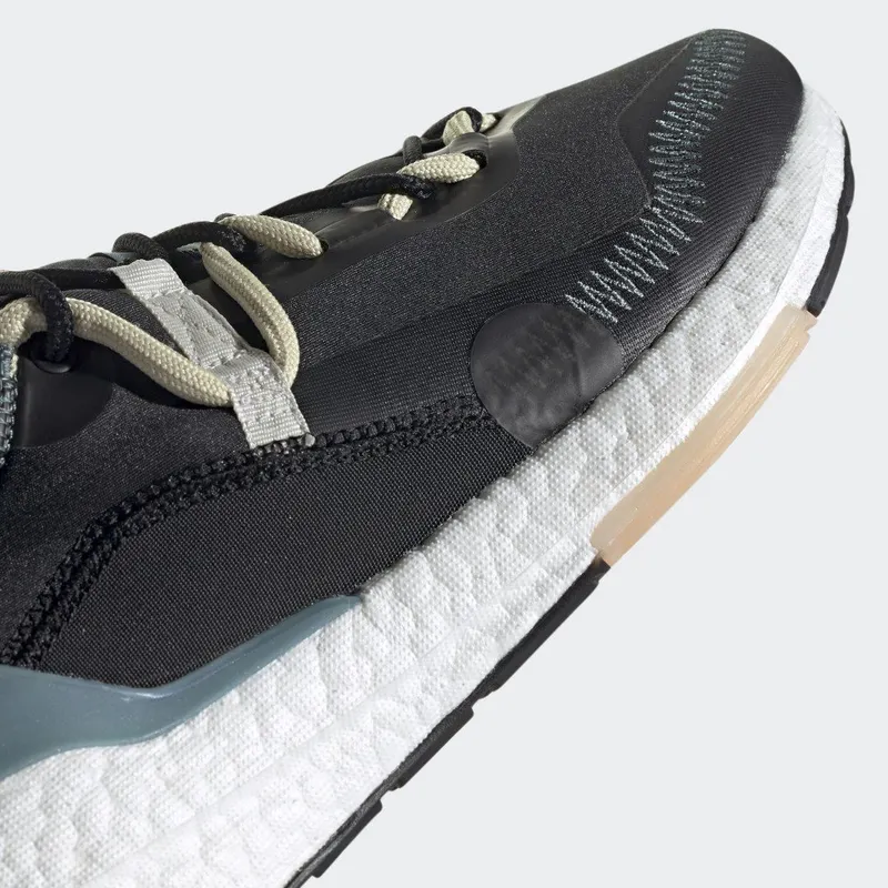 adidas Ultraboost 21 x Parley Carbon / Orbit Grey / Sandy Beige (GX1244)