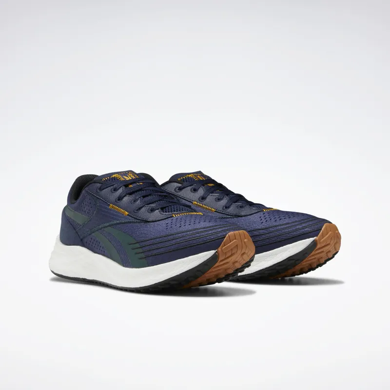 Reebok Floatride Energy City Vector Navy / Forest Green / Core Black (GY4095)
