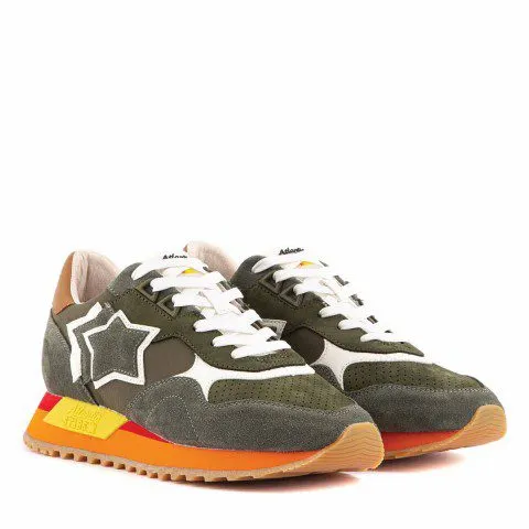 Atlantic Stars Draco Banana Palm (DRACOC MSMM DR12)