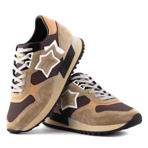 Atlantic Stars Draco Biscuit (DRACOC BTBB DR09)