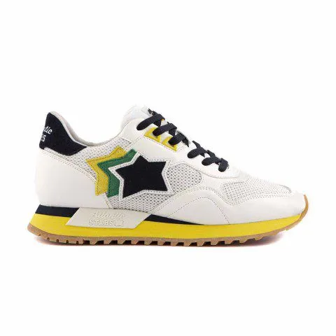 Atlantic Stars Draco Golden Kiwi (DRACOC WWRW DR13)