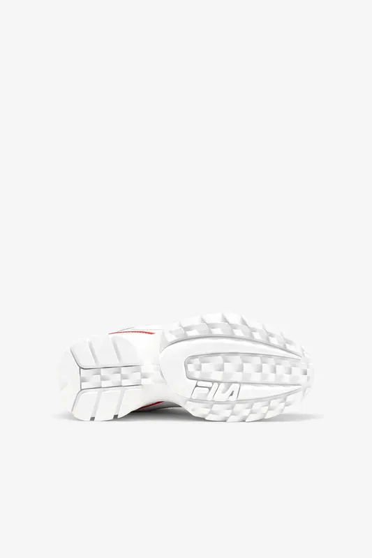 Fila Disruptor 2 Contrast Piping (3FM01008-125)