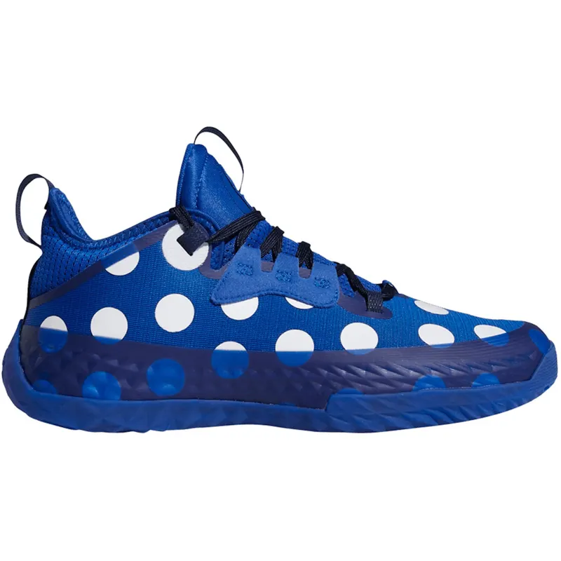 adidas Harden Vol. 5 Futurenatural Blue Polka Dot (H68594)