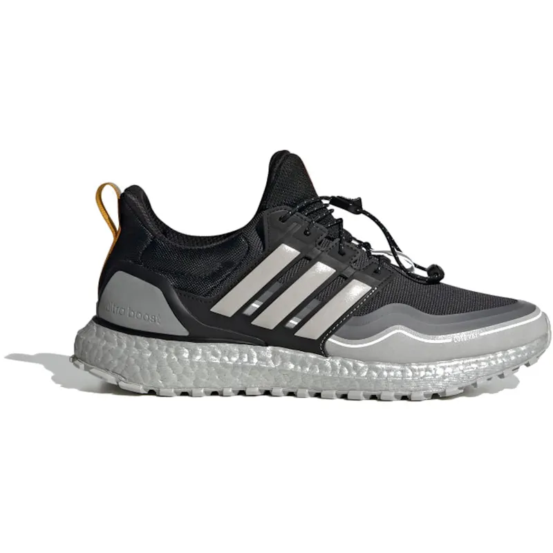 adidas Ultra Boost Winter Rdy DNA Metallic Silver (FW8696)