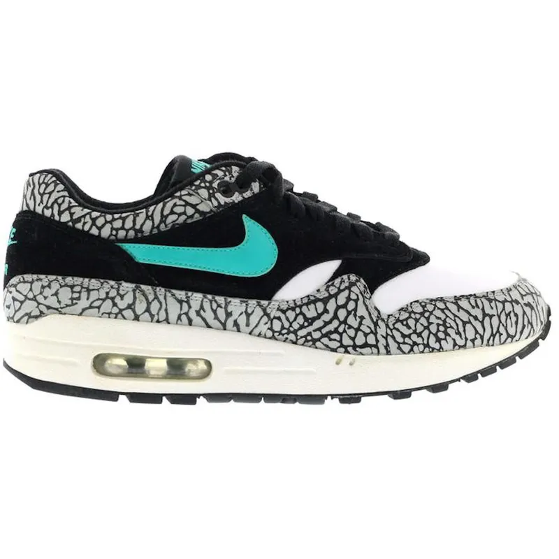 Nike Air Max 1 Atmos Elephant (2007) (312748-031)