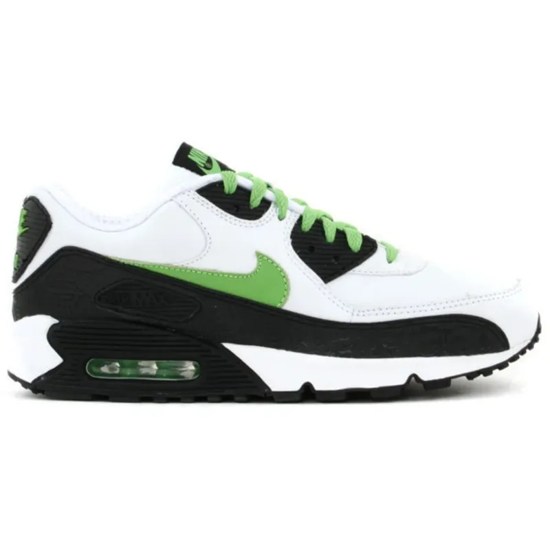 Nike Air Max 90 Rejuvination Pack (313521-131)