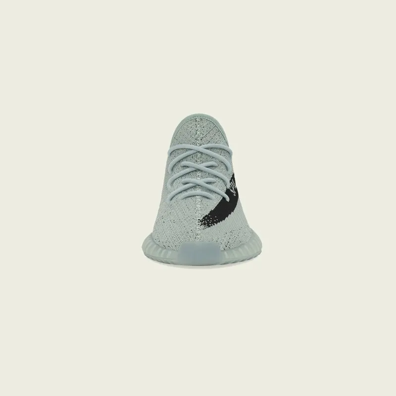 adidas YEEZY BOOST 350 V2 Salt / Core Black / Salt (HQ2060)