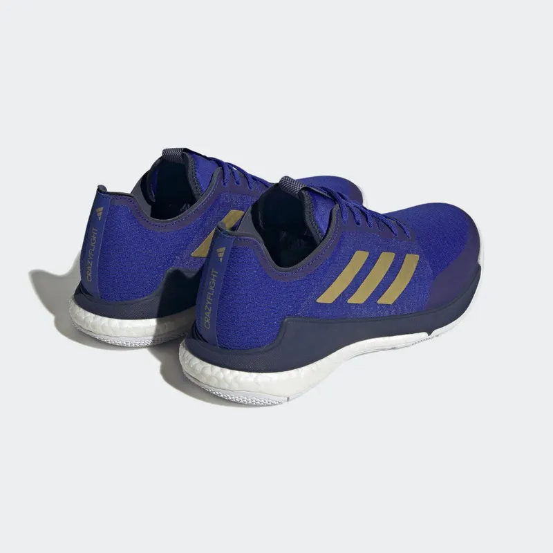 adidas Crazyflight Lucid Blue / Matte Gold / Team Navy Blue 2 (HQ3488)