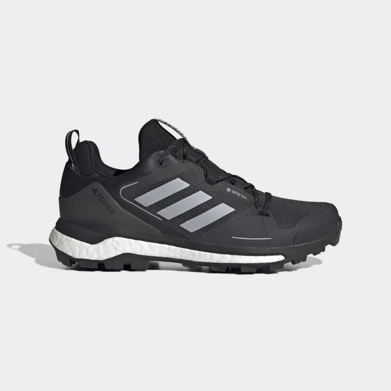 adidas Terrex Skychaser GORE-TEX Hiking 2.0 Core Black / Halo Silver / Dgh Solid Grey (HR1284)