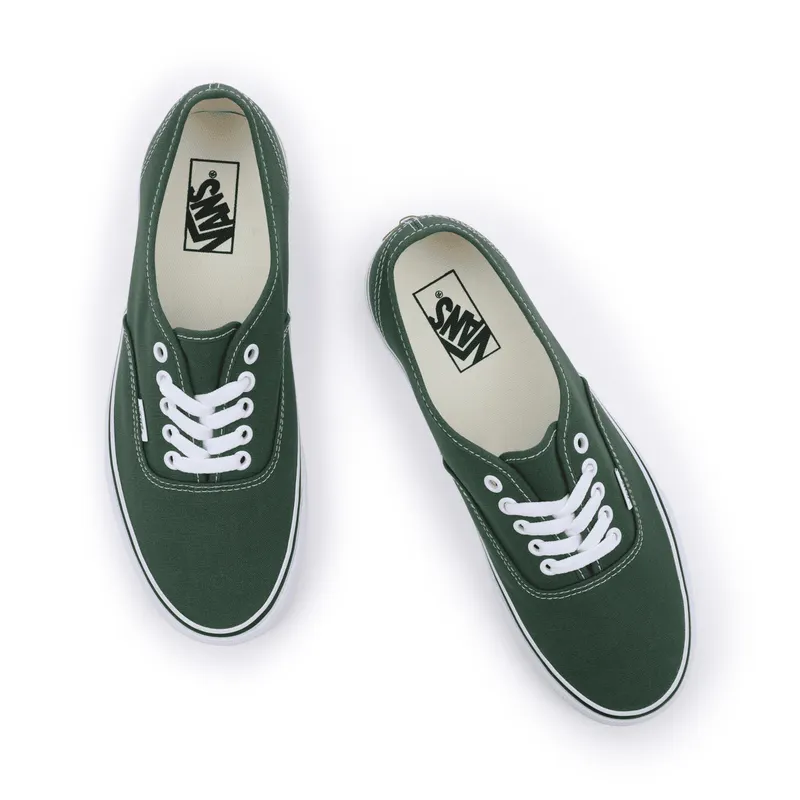 VANS Color Theory Authentic Groen (VN0A5KS96QU)