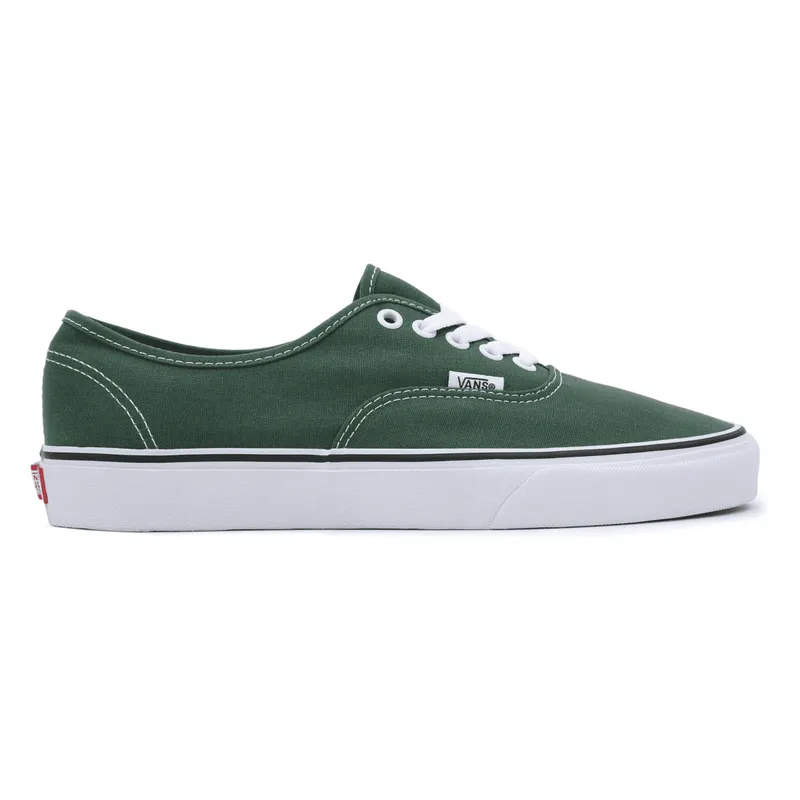 VANS Color Theory Authentic Groen (VN0A5KS96QU)