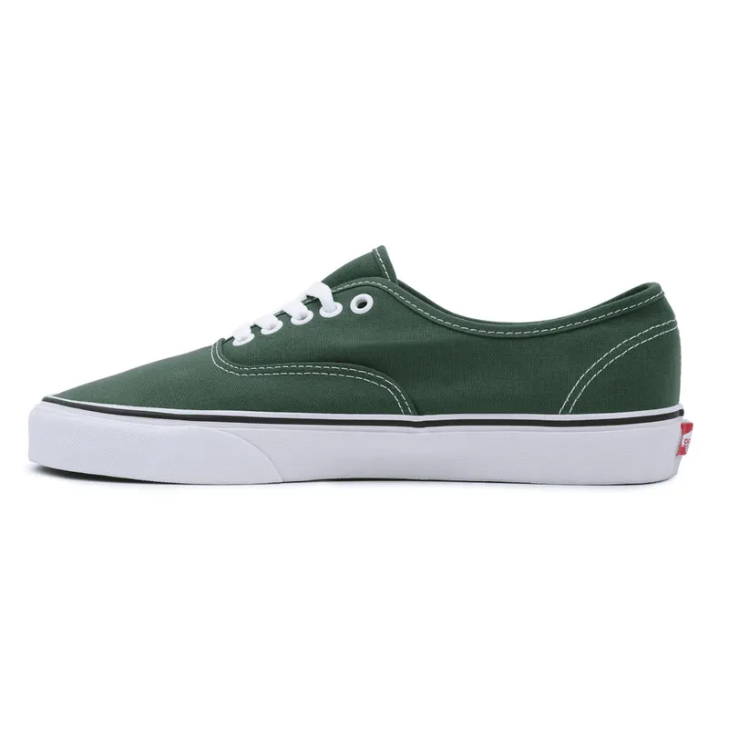 VANS Color Theory Authentic Groen (VN0A5KS96QU)