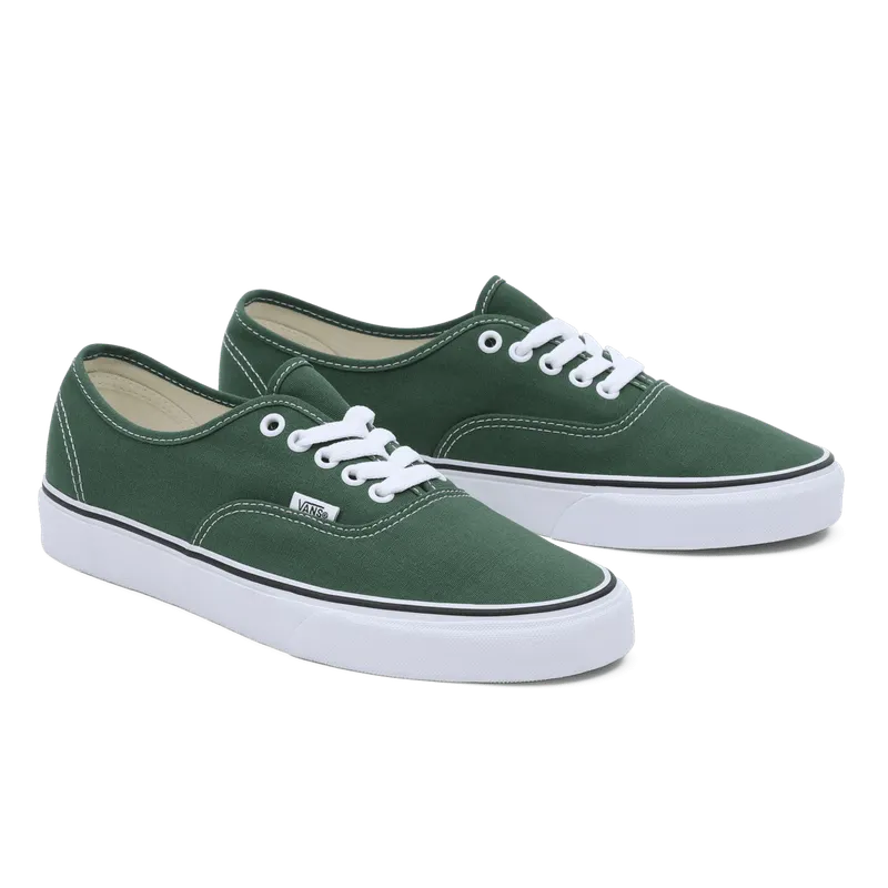 VANS Color Theory Authentic Groen (VN0A5KS96QU)