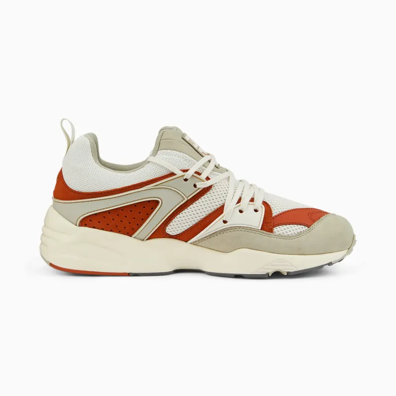 Puma Blaze of Glory Grijs (387575-03)