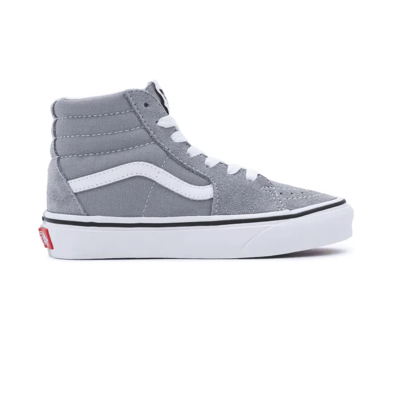 VANS Color Theory Sk8-hi Kinderschoenen Grijs (VN000D5FBM7)