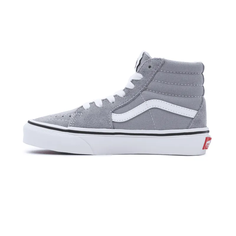 VANS Color Theory Sk8-hi Kinderschoenen Grijs (VN000D5FBM7)
