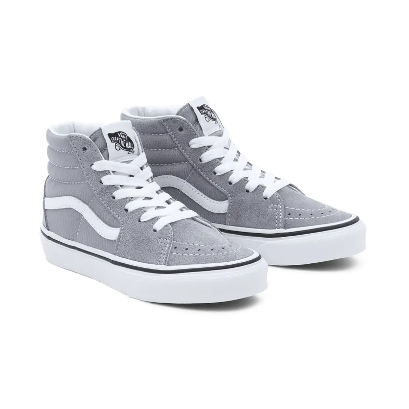 VANS Color Theory Sk8-hi Kinderschoenen Grijs (VN000D5FBM7)