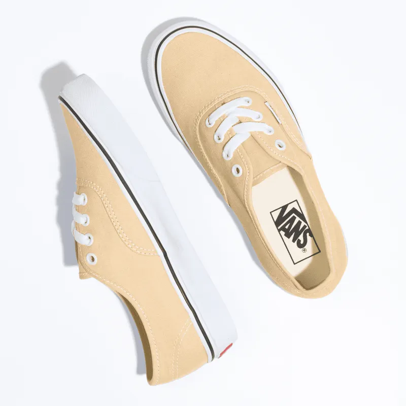 VANS Color Theory Authentic Grijs (VN0A5KS9BLP)