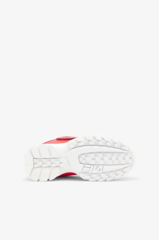 Fila Disruptor 2 Logo Reveal (3FM01010-669)