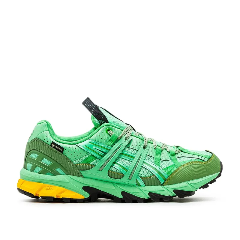 Asics GEL-Sonoma 15-50 GTX (1201A440-300SP465)