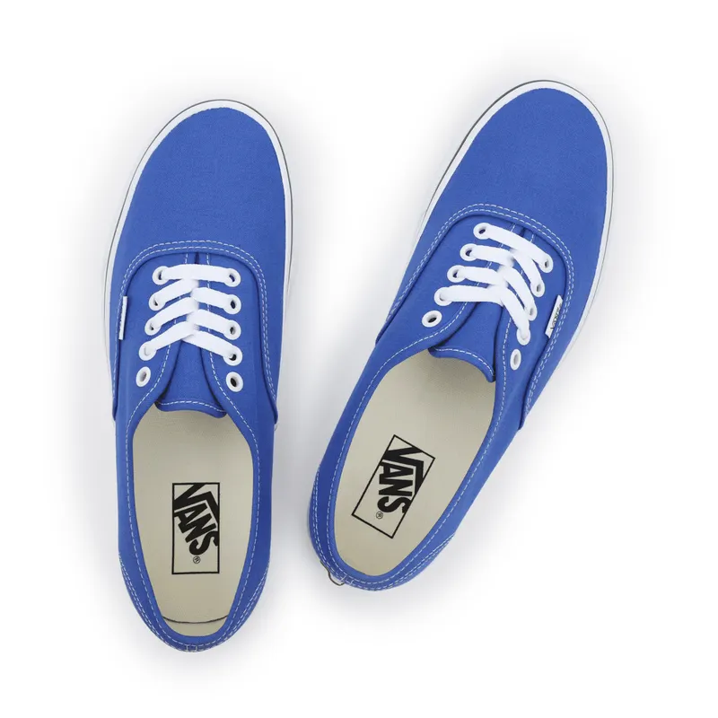 VANS Color Theory Authentic Blauw (VN0A5KS96RE)