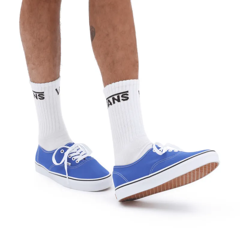 VANS Color Theory Authentic Blauw (VN0A5KS96RE)
