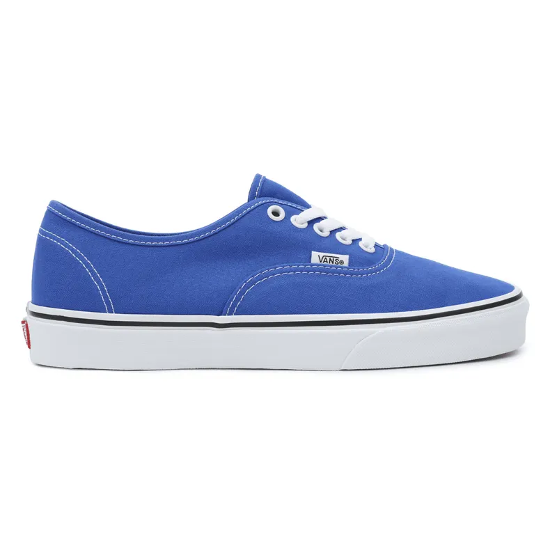 VANS Color Theory Authentic Blauw (VN0A5KS96RE)
